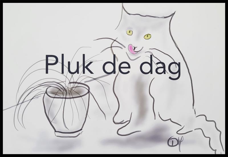 pluk de dag